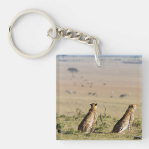 Zwei Cheetahs im Blick Schlüsselanhänger