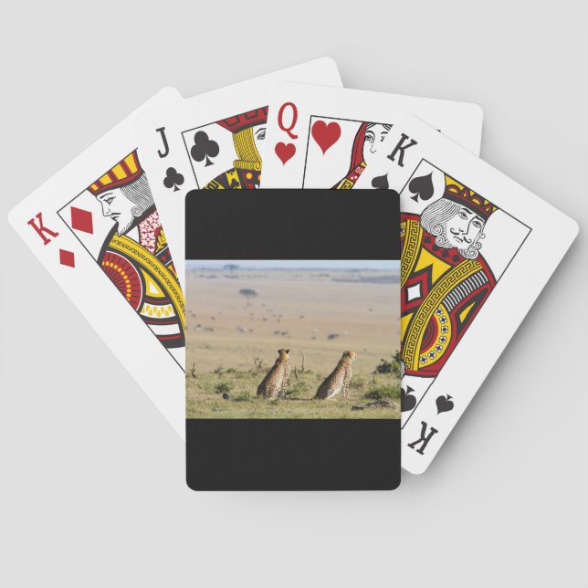 Zwei Cheetahs im Blick Spielkarten (Rückseite)