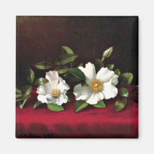 Zwei Cherokee-Rose auf Red Velvet, Magnet