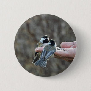 Zwei Chickadees auf einer Hand Button