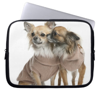 Zwei Chihuahuas gekleidet (2 Jahre alt) Laptopschutzhülle
