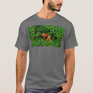 zwei Clownfische verstecken T-Shirt
