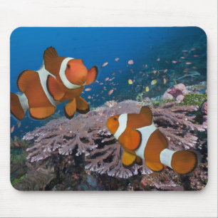 Zwei Clownfish Mousepad