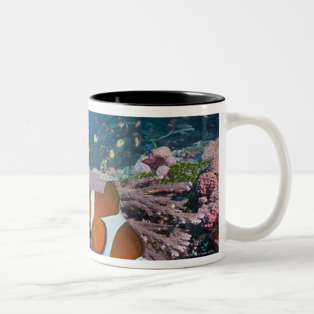 Zwei Clownfish Zweifarbige Tasse (Rechts)