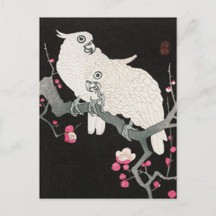 Zwei Cockatoo und Plum Blossom von Ohara Koson Postkarte