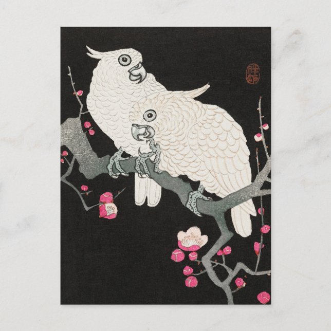Zwei Cockatoo und Plum Blossom von Ohara Koson Postkarte (Vorderseite)