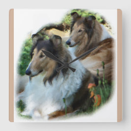 Zwei Collies mit Sable Rough Quadratische Wanduhr