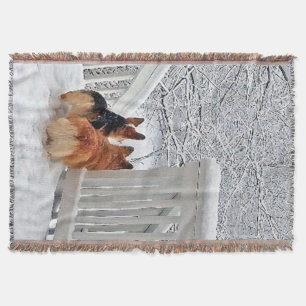 Zwei Corgis im Schnee Decke