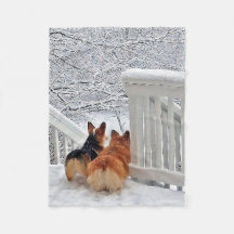Zwei Corgis im Schnee
