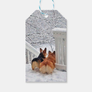 Zwei Corgis im Winter Geschenkanhänger