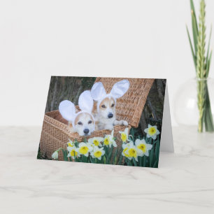 Zwei Corgis in einem Ostergrußkartenkorb Karte