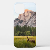 ZWEI DECKEN VOR EINER HALBEN DOME IM YOSEMITTALLEY