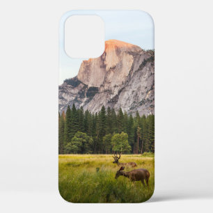 ZWEI DECKEN VOR EINER HALBEN DOME IM YOSEMITTALLEY Case-Mate iPhone HÜLLE