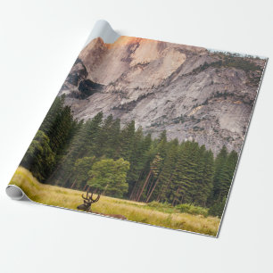 ZWEI DECKEN VOR EINER HALBEN DOME IM YOSEMITTALLEY GESCHENKPAPIER
