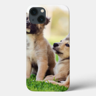 Zwei deutsche HirtenWelpen Case-Mate iPhone Hülle