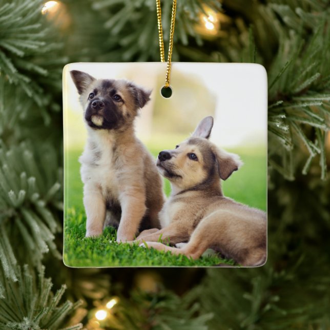 Zwei deutsche Schäferwelpen Keramikornament (Baum)