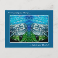 Zwei Dolpings: Wir machen gerade den Sprung: Hochz