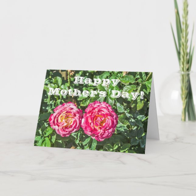 Zwei dunkelrosa Rosen mit dunkelgrünen Blätter Karte (Vorderseite)