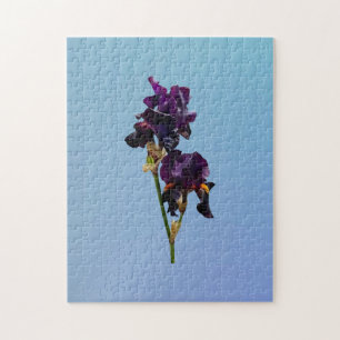 Zwei dunkle Lila Ire Jigsaw Puzzle