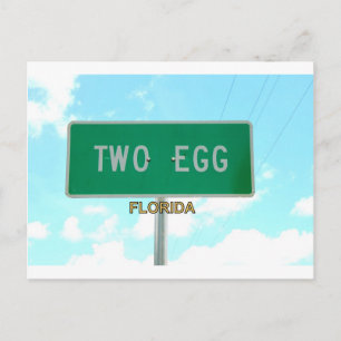 ZWEI EGG, FLORIDA POSTKARTE