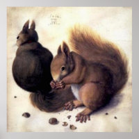 "Zwei Eichhörnchen" von Albrecht Dürer
