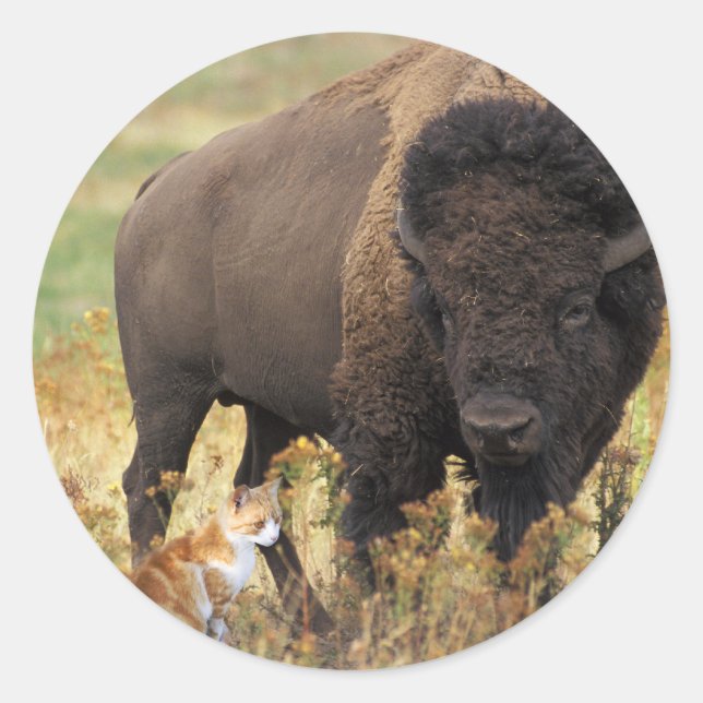 Zwei einer Art Runder Aufkleber (Vorderseite)