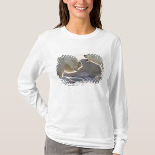Zwei Eisbären T-Shirt
