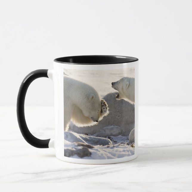 Zwei Eisbären Tasse (Links)