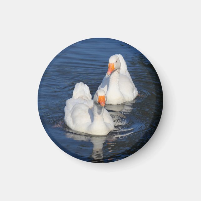 Zwei Emden Gänse II Magnet (Vorne)