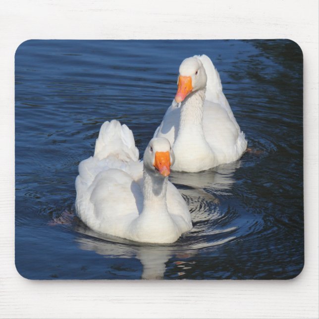 Zwei Emden Gänse II Mousepad (Vorne)