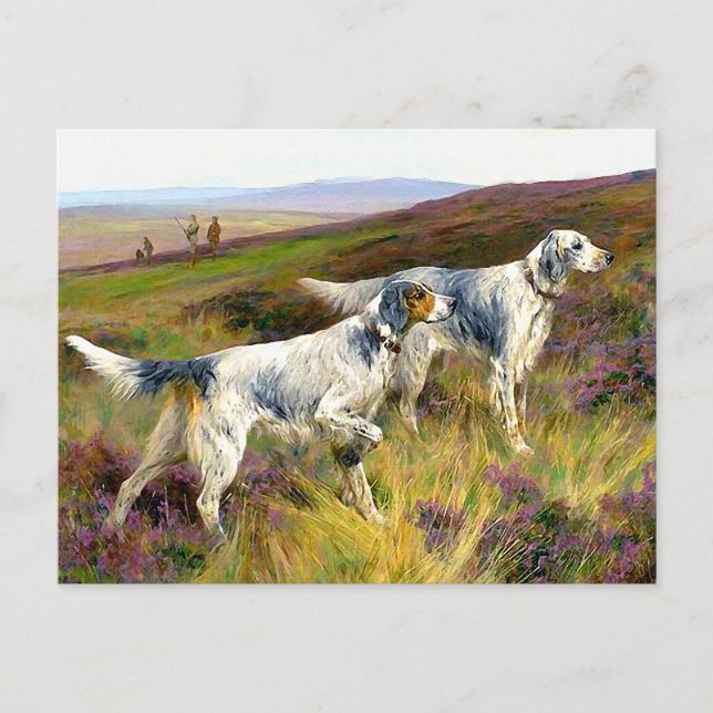 Zwei englische Setter in einem Feld - Arthur Wardl Postkarte (Vorderseite)