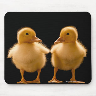 Zwei Entlein, die gegenseitig betrachten Mousepad