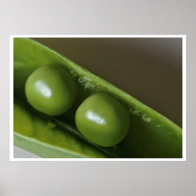 Zwei Erbsen in einem Poster (Vorne)