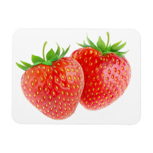 Zwei Erdbeeren Magnet