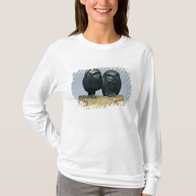 Zwei Eulen, 1903-04 T-Shirt (Vorderseite)