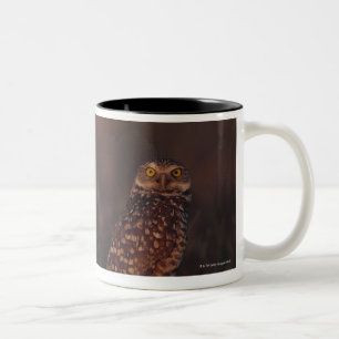 Zwei Eulen auf Sand Zweifarbige Tasse
