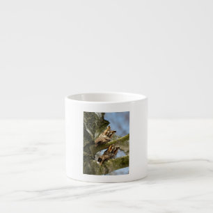 Zwei Eulen im Wald, Vögel, Wildtiere Espresso Cu Espressotasse