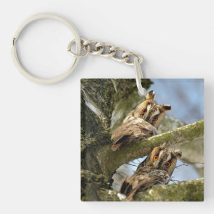 Zwei Eulen im Wald, Vögel, Wildtiere Schlüsselanhänger