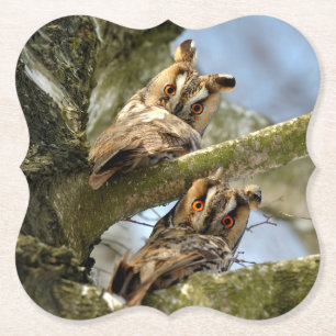 Zwei Eulen im Wald, Vögel, Wildtiere Untersetzer