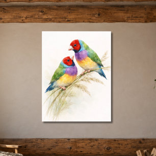 Zwei farbenfrohe Gouldamadinen-Vögel Poster