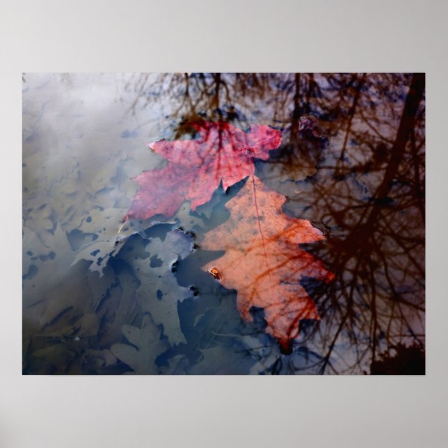 Zwei farbenfrohe Herbstuntergänge im Wasser Poster (Vorne)