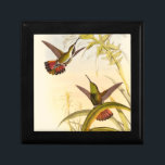 Zwei farbenfrohe Hummingbirds streben nach derselb Erinnerungskiste<br><div class="desc">Der Künstler John Gould war leidenschaftlich für Vögel. In diesem farbigen zeichn sind die beiden Kolibris und die Blume wunderschön dargestellt. Die Details dieser farbenfrohen Kunst werden jeden Kunstliebhaber begeistern.</div>