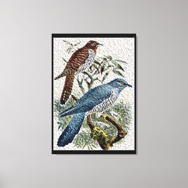 Zwei farbige Kuckucksumpfe in Texturierten Leinwan Leinwanddruck (Vorderseite)