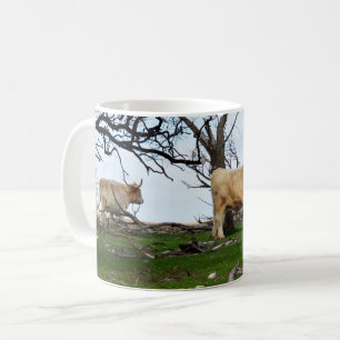 Zwei Fawn Highland Kühe in Friedlichen Landgebiete Kaffeetasse