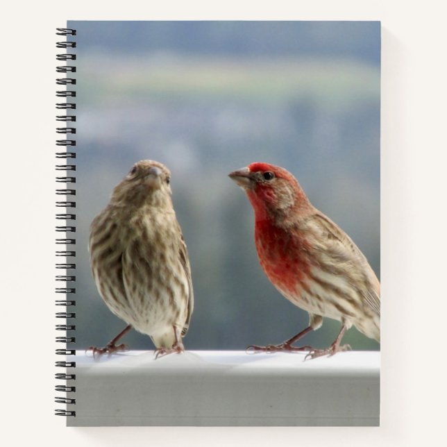 Zwei Finches flirten. Notizbuch (Vorderseite)