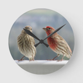 Zwei Finches flirten. Runde Wanduhr