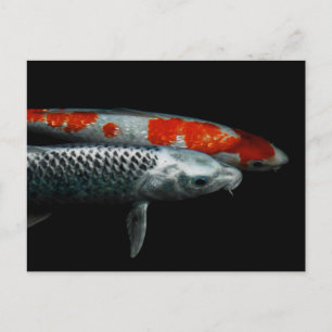 Zwei Fische Postkarte