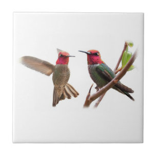 ZWEI FLIEGENDE JUWELEN FLIESE