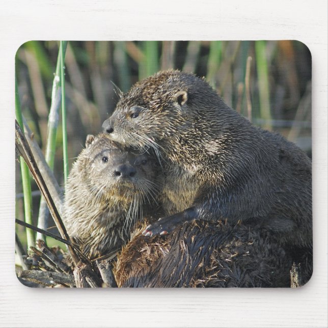 Zwei Fluss-Otter Mousepad (Vorne)