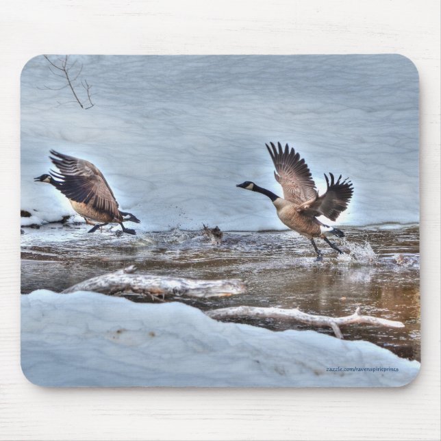Zwei Flying Canada Gänse & Snow Wildlife Foto Mousepad (Vorne)
